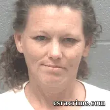 Gisele Poss booking photo
