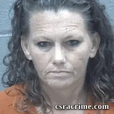 Gisele Poss booking photo