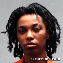 Glennera Bostic booking photo