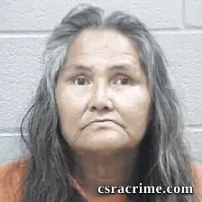 Grace Hiel booking photo