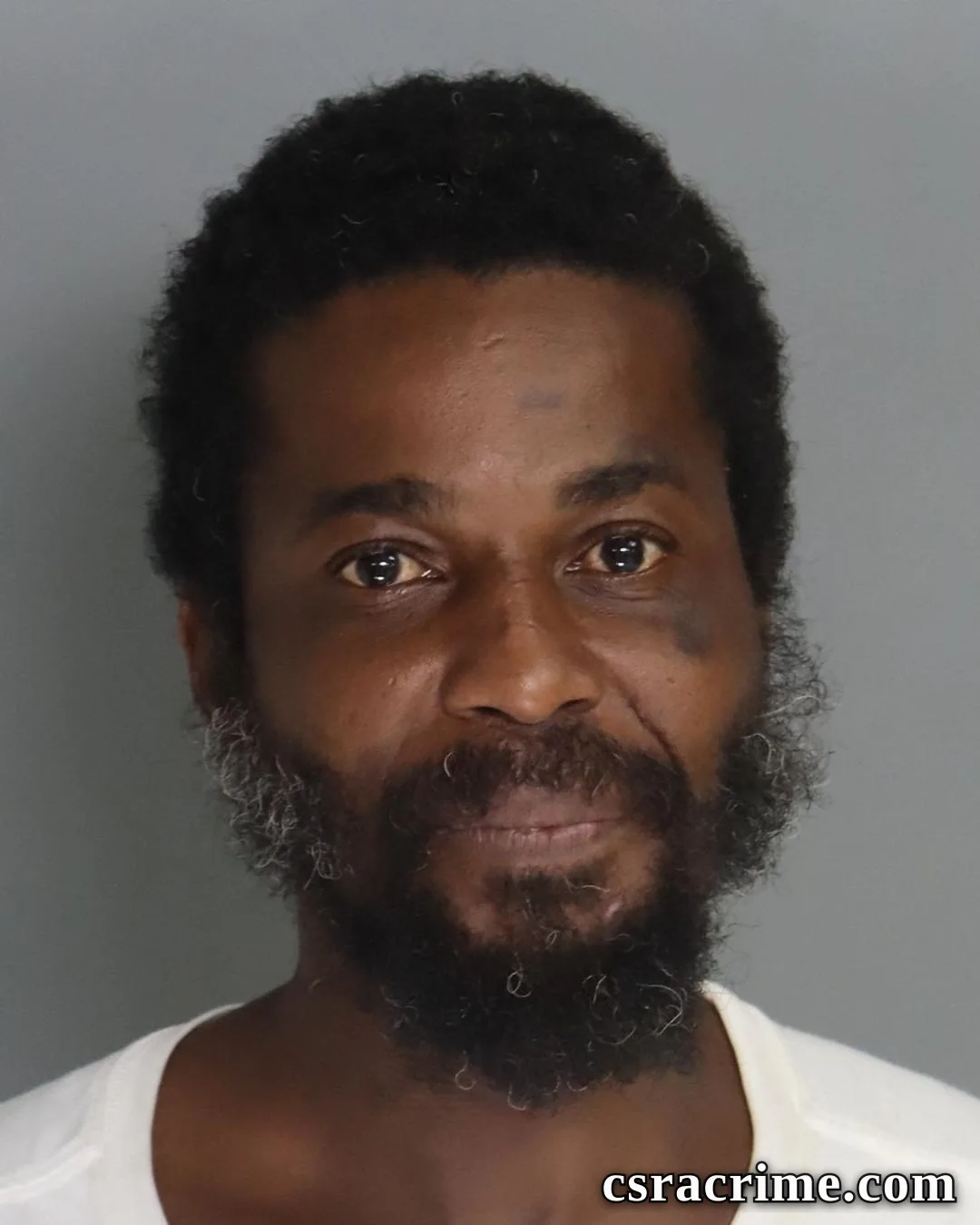 Gregory Johnson booking photo