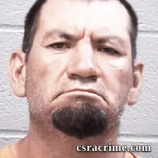 Guadalupe Reyes booking photo