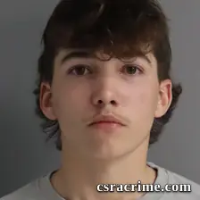Gunnar Tibbs booking photo