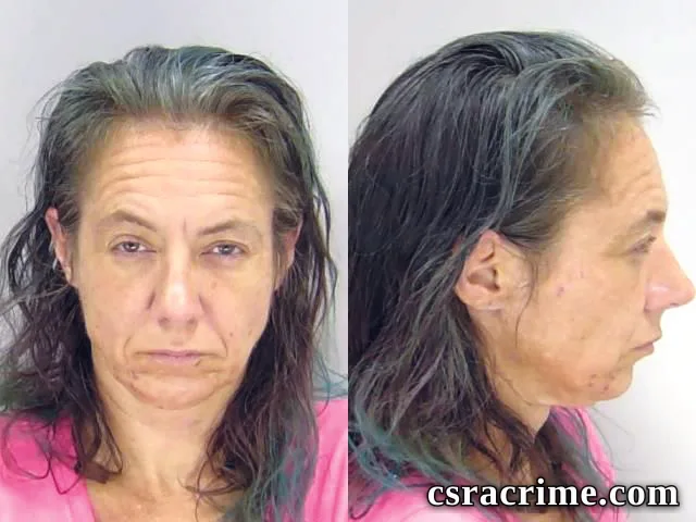 Haley Roll booking photo
