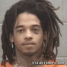 Halijah Aldin Lee booking photo