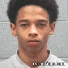 Halijah Lee booking photo