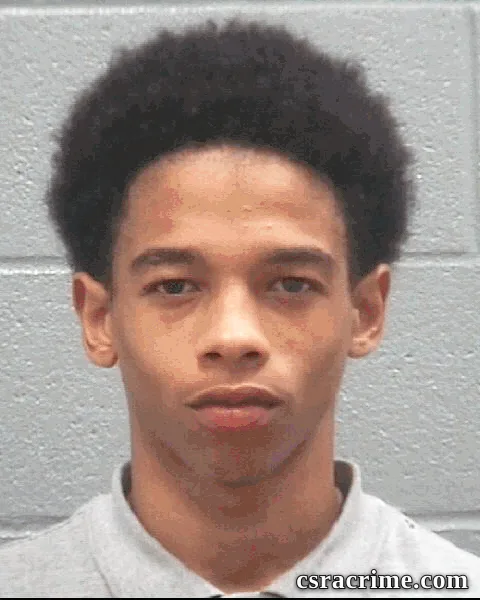 Halijah Lee booking photo