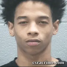 Halijah Lee booking photo