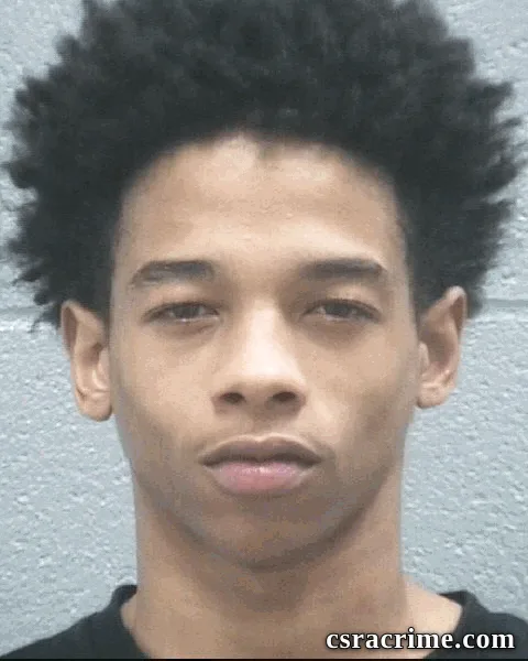 Halijah Lee booking photo
