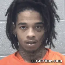 Halijah Lee booking photo
