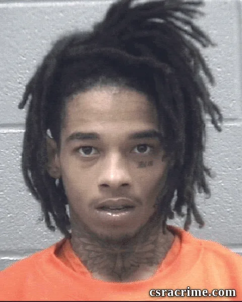 Halijah Lee booking photo