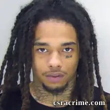Halijah Lee booking photo