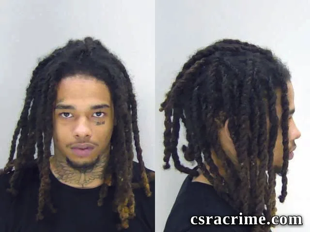 Halijah Lee booking photo