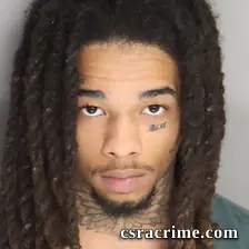 Halijah Lee booking photo