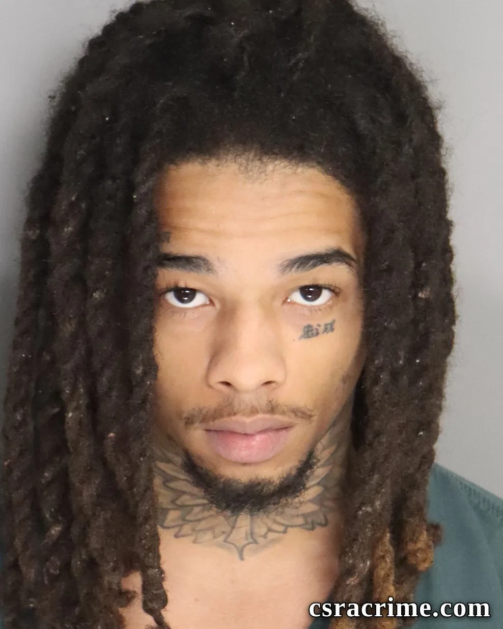 Halijah Lee booking photo
