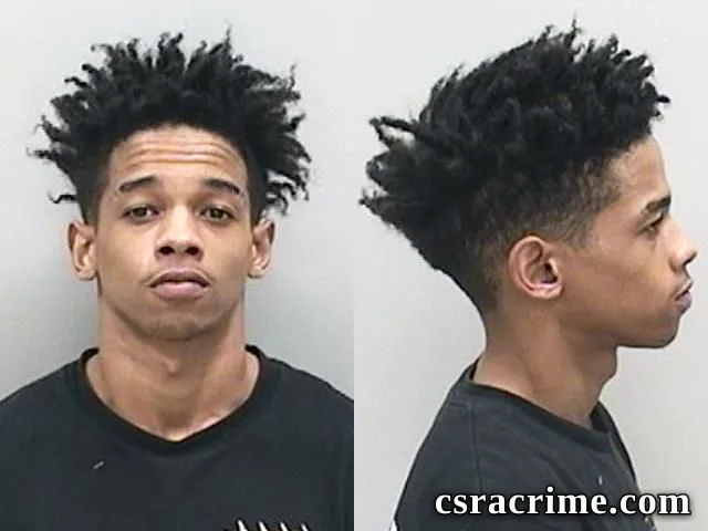 Halijah Lee booking photo