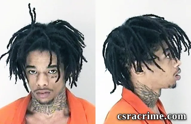 Halijah Lee booking photo
