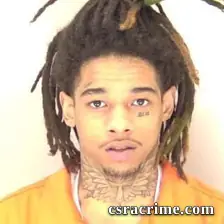 Halijah Lee booking photo