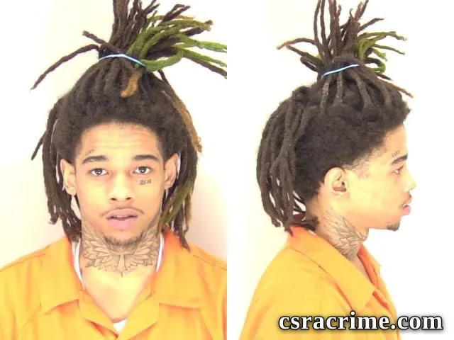 Halijah Lee booking photo