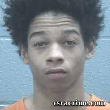 Halijah Lee booking photo