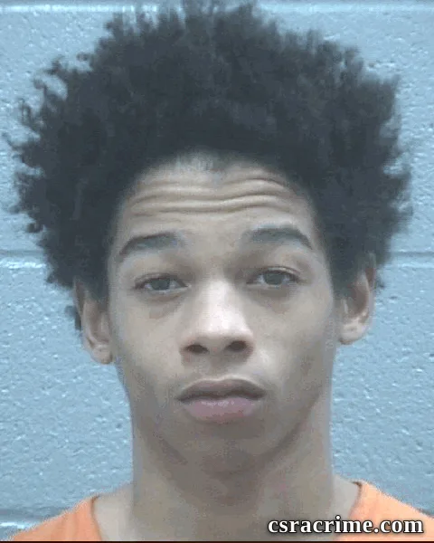 Halijah Lee booking photo