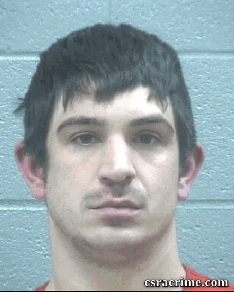 Hamilton Hembree booking photo