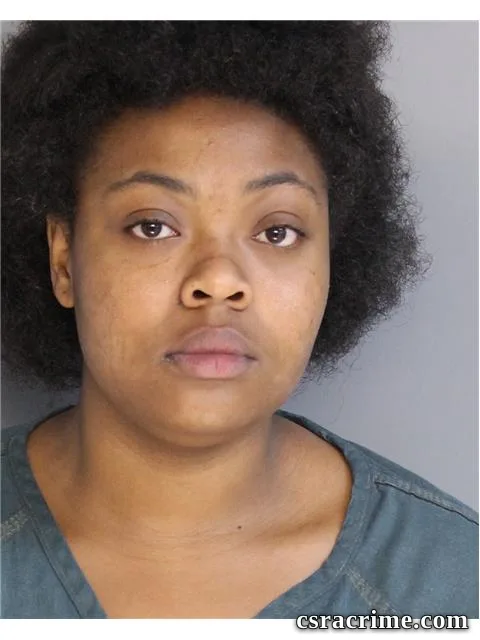 Hannah Chandler booking photo