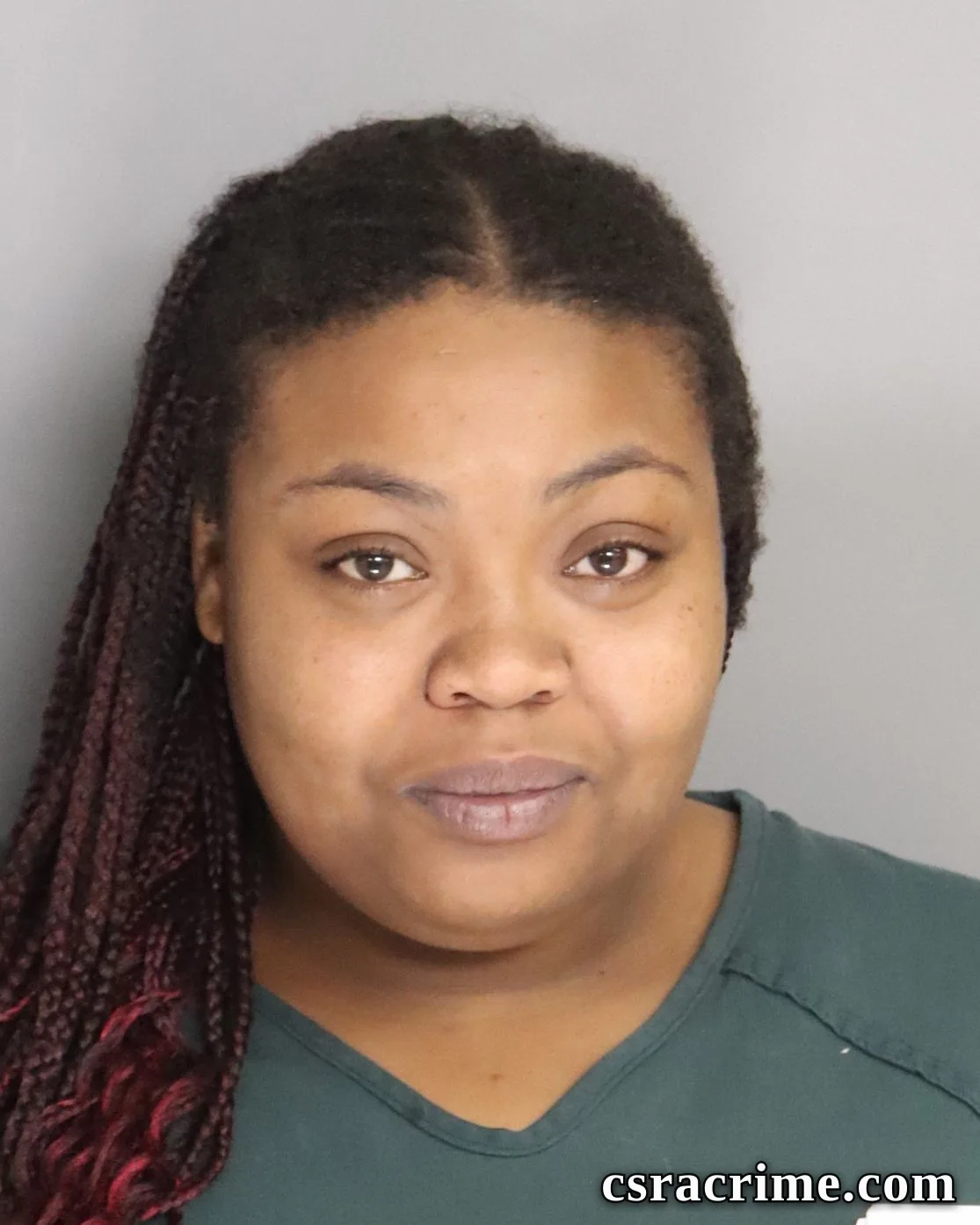 Hannah Chandler booking photo