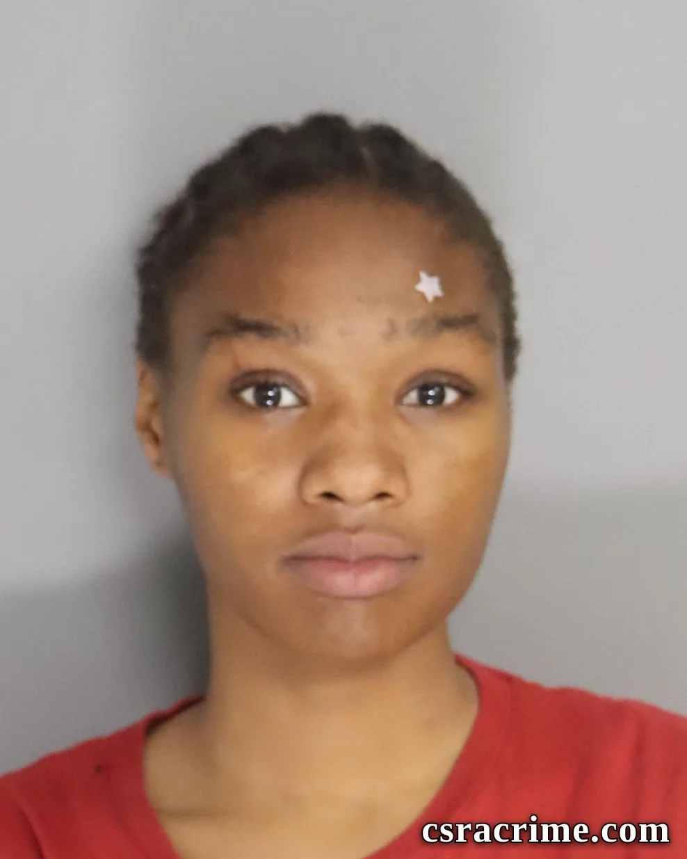 Hannah Jones booking photo