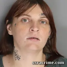 Hannah Metts booking photo