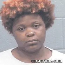 Hardricka Williams booking photo