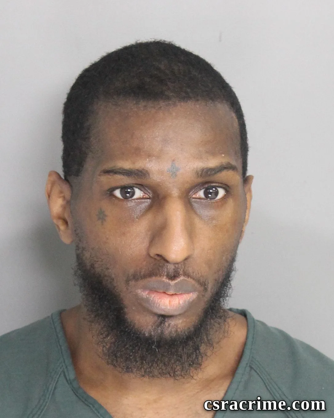 Harry Reese JR booking photo
