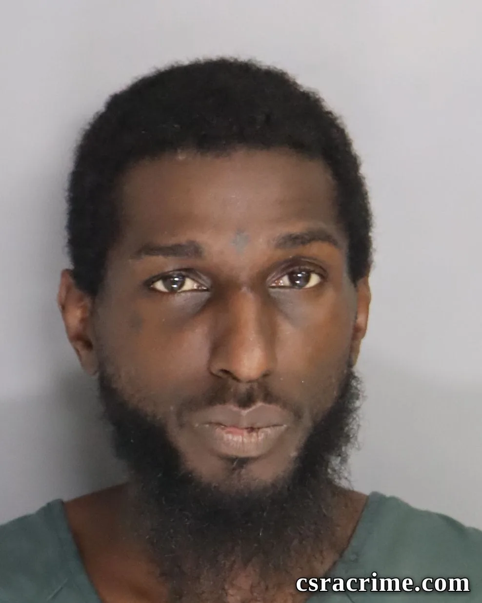 Harry Reese JR booking photo