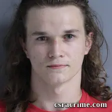 Heath Ellerbee JR booking photo