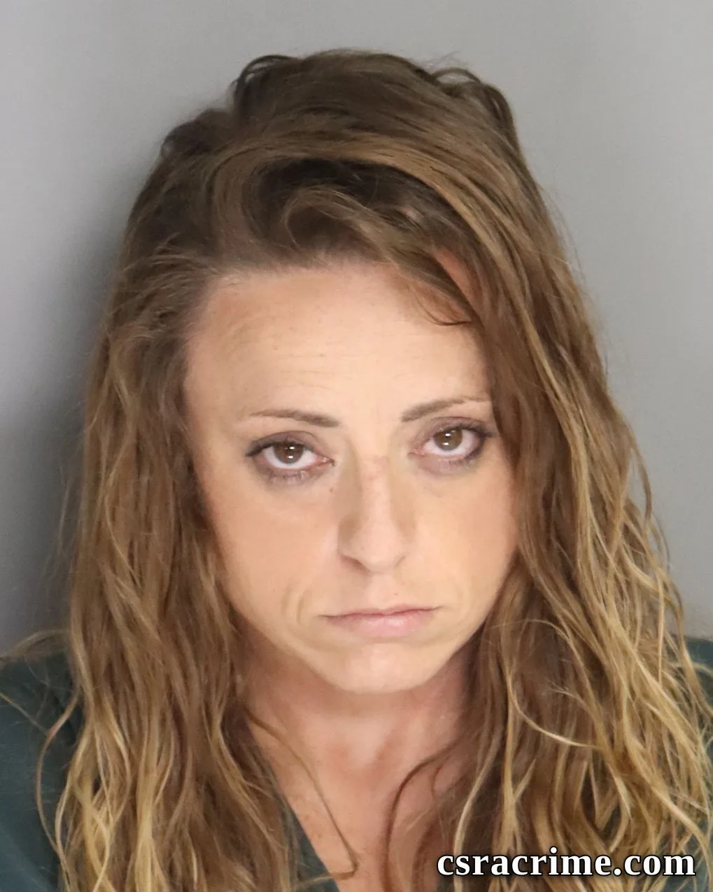 Heather Ayres booking photo