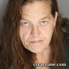 Heather Brewer booking photo