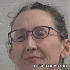 Heather Cort Gimber booking photo