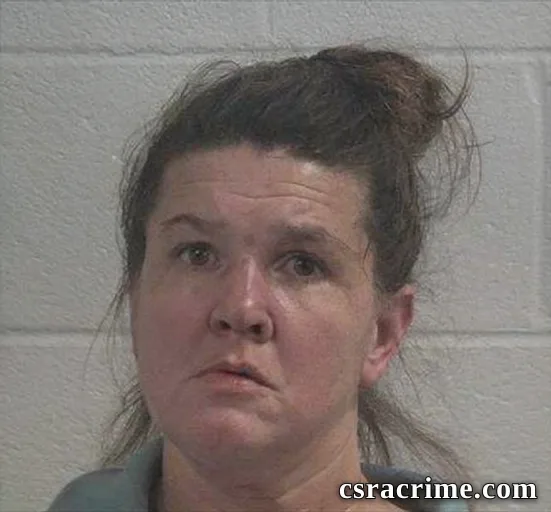 Heather Denise Thompson booking photo