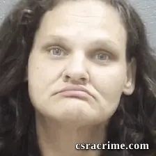Heather Lampp booking photo