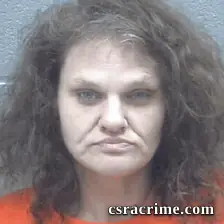 Heather Lampp booking photo