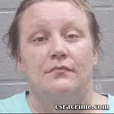 Heather Wood booking photo
