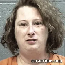 Heidi Newton booking photo