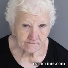 Heike Goodwin booking photo