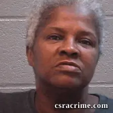 Helen Turner booking photo