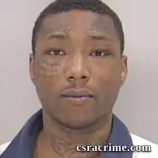 Henri Ramone Beach booking photo