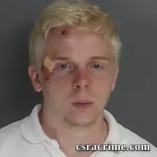 Henrick Dowd booking photo