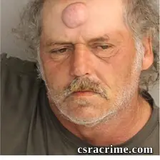 Henry Johnson booking photo