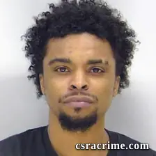 Henry Ryans booking photo