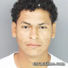 Hiestin Gonzalez-Guzman booking photo