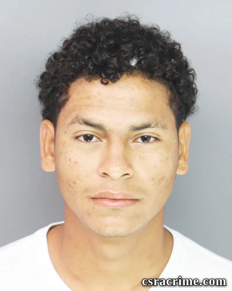 Hiestin Gonzalez-Guzman booking photo